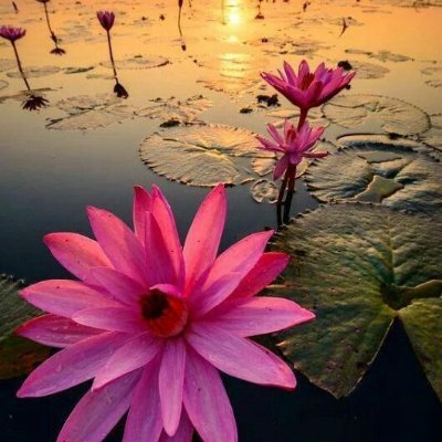 When life gives you a hundred reasons to cry, remember that God has given you a thousand reasons to smile.
