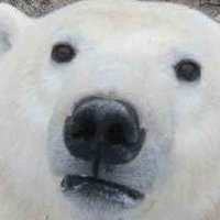 SNATCHER!!! π (@snatchysnatcher) 's Twitter Profile