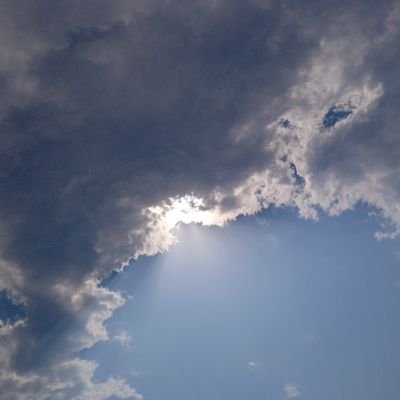 m_annwit's profile picture. India First|Hindutva🚩✊🏽|Proud Bengali|KKR💜supporter|Pro-Russia🇷🇺|Mohun Bagan♥️💚|Student of Pharmaceutical Technology