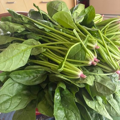 札幌のおじさんが会社帰りに喰らった飯の記録。下手だけどスプラトゥーン3のサーモンランが好き。MTBで支笏湖も手稲山も行く。最近の推しはThundercatとTame Impala。ちゃんと句読点を使う。パーカーを着る。