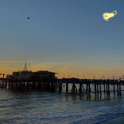 bxy379987's profile picture. 永远保持敬畏，铭记自己只是一个在币圈黑暗森林里讨饭吃的可怜虫，一不小心就是死无葬身之地。