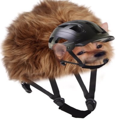 “Keyboard Thug” “Internet provocateur” “Fury F***er” “Main Bastard” “Eternal Enemy” “Intelligence Agency Troll” “Brash” “Scourge” Army Veteran & Cyclist 🇬🇧