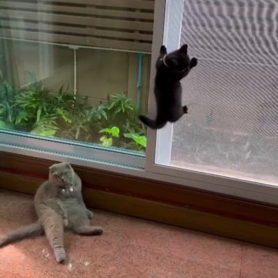 inmalsmind's profile picture. นิ้วเบียด