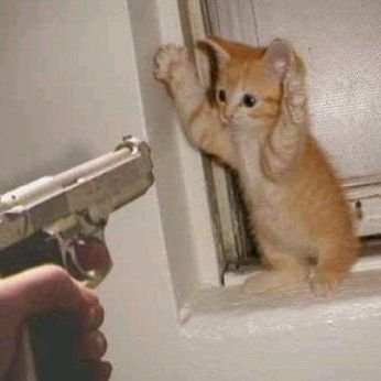 S_NHODO's profile picture. 