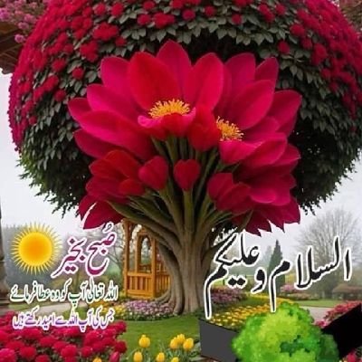 Ph.D in Education
Area of Interest Moral Development