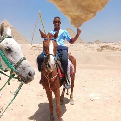 awabaliii's profile picture. 