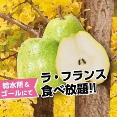 Tendo_Marathon's profile picture. 天童ラ・フランスマラソンの公式アカウントです！ 全国ランニング大会100撰に8大会連続選出！ 大会や天童市の魅力を発信していきます🍐 現在未定の内容は、随時、大会公式HPでお知らせします。みんな、来てけろな〜🏃 #ラフマラ #ラフランスマラソン #ラ・フランスマラソン