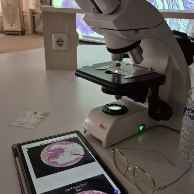 _Epi_Curious_'s profile picture. 📊Public health and epidemiological facts, decoded.                                                                       🔬Curious about health? So are we.