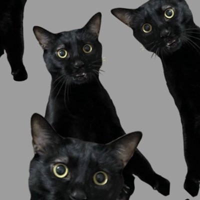 Hazzo_woul's profile picture. 새미래민주당원입니다.