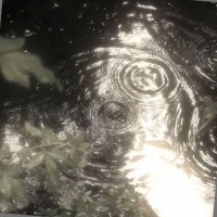 三角 (@valllencro) 's Twitter Profile