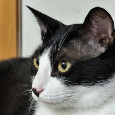 Fukuoching1738's profile picture. 