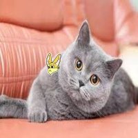 FluffyBamboo (@oldon54696892) 's Twitter Profile