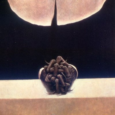 xorfish's profile picture. このアカウントは使われていません。移行先 @waironredstone