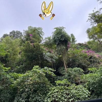 duxiangyuan2021's profile picture. Sahara #0063058