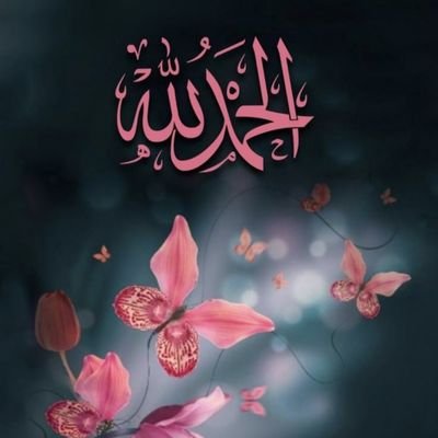 قل للذي ينتظر سقوطك لاتخف ولاتحزن
فاني اعرف اين اضع قدمي