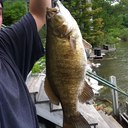 Alec Freeman - @alecfreeman20 - Twitter