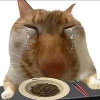 daiac 𖹭 (@cameltears) 's Twitter Profile