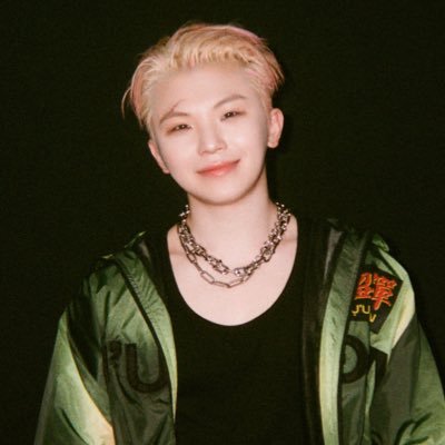 ★ woozi’s #1 music fan ; 기다릴게 정한이 ★ #HOWOObaby_byAiR — @lovefrom_air