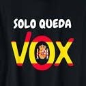 Sólo Queda VOX (@_soloquedavox_) 's Twitter Profile