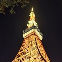 うぇい (@fqihip7kjs71489) 's Twitter Profile