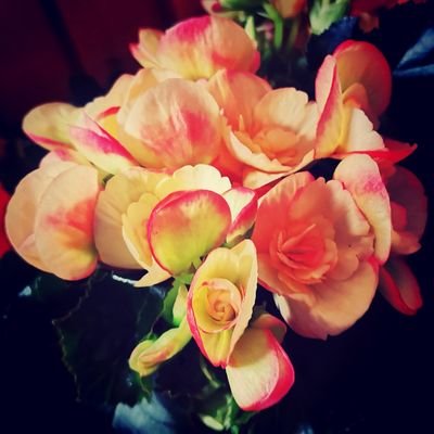 Due cose ci salvano nella vita: amare e ridere. Se ne avete una va bene. Se le avete tutte e due siete invincibili.
- Tarun Tejpal -