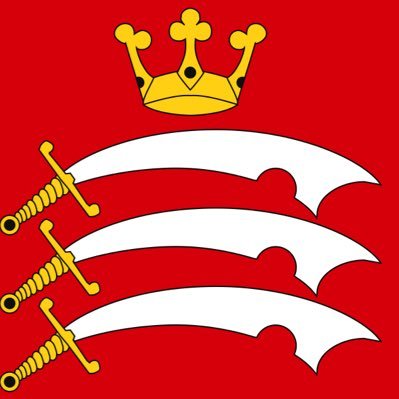 Common sense is a very English virtue. Busy noticing the deliberate destruction of Britain by the Uniparty. Save our kids. Raise the colours.