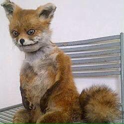 mznrl's profile picture. 