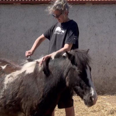 mojojungle68's profile picture. Maverick oddball. Indigo person, always surrounded by animals. Loving the life in the beautiful North of Ireland.
