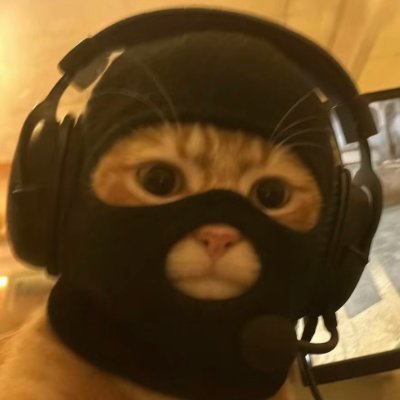 tonyforYP's profile picture. 