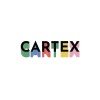 CartexGroup's profile picture. Cartex is a fintech marketplace offering payments, crypto, card issuing, IBAN, and telecom solutions for B2C and B2B. Reliable. Scalable. Compliant.