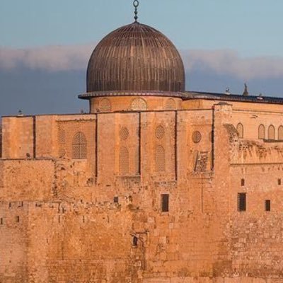 MohammadAbdulhi's profile picture. 