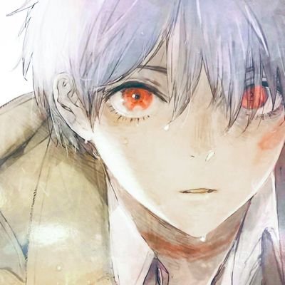 Sŧєph 🦊 grahamさんのプロフィール画像