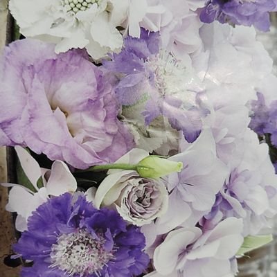 QT8O18lZqt66954's profile picture. 