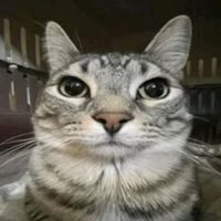Gamingbyte (@gamingbyte59880) 's Twitter Profile