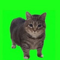 dokter (@mp_hodler) 's Twitter Profile