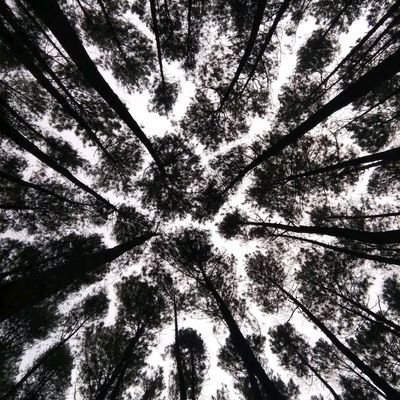 bgr76543's profile picture. 