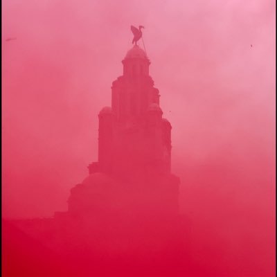 Hanjorlahorlu's profile picture. RN 🇳🇬🇺🇸 #YNWA#