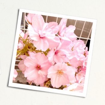 7814akt's profile picture. 🌸OSK日本歌劇団🌸ファン新参者ですがほんの少しでもOSKの皆さんに恩返しができれば✨投稿してみます📷