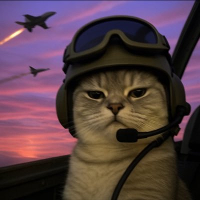 vshhsbshj's profile picture. 只冲土狗，赚够三千万就收手