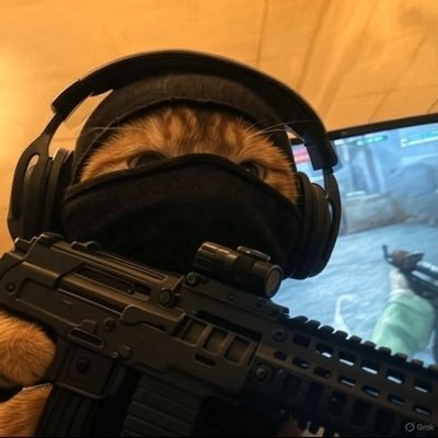 y4emi's profile picture. memecoin hodler