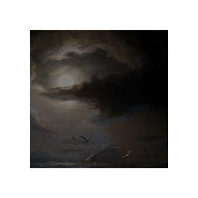 Xiuffy's profile picture. مستمر بالسعي