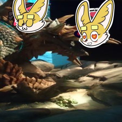 0518moririn's profile picture. 68回生Reddio