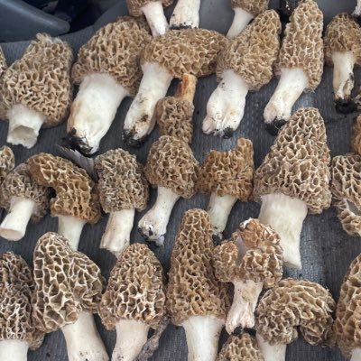 BeautfulRachel's profile picture. 