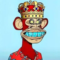 韭菜菲 .ink🔆 (@bafei6) 's Twitter Profile