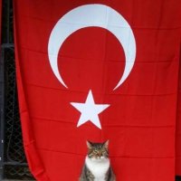Hak bilen (@huseyinyaziyor1) 's Twitter Profile Photo Hak bilen (@huseyinyaziyor1) 's Twitter Profile Photo