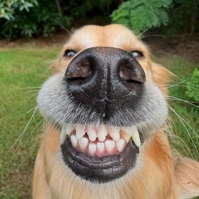 beudeuy's profile picture. 