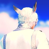 🐈 (@nlff14) 's Twitter Profile