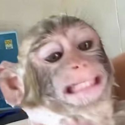 sidis7tlil's profile picture. 🤌🏽