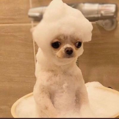 stubaby090's profile picture. BSC OAU ||CR7 ⭐️🐐 || Web 3 || Crypto || Writer || Gamer 🎮 || MUFC⚽️ || Football and Chaos || Anti-La Liga || Agenda Machine😂🫰🏼