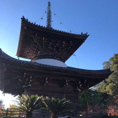 Tanabecitybot's profile picture. 田辺・西牟婁を愛す人間（現埼玉県民）